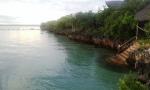 Pemba Arti Lodge